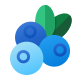 Blueberry icon