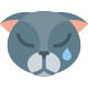 грустный кот icon
