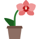 Orchidee icon