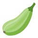 Zucchine icon