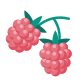 Berry icon