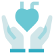 Cardiovascular icon