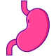 Stomach icon