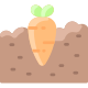 Carrot icon