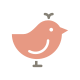 Bird icon