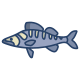 Zander Fish icon