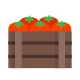 scatola di pomodori icon