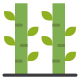 Bamboo icon