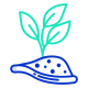 阳光下的植物 icon