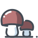 Mushrooms icon