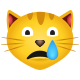 泣き猫 icon