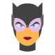 Catwoman icon