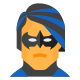 Nightwing icon