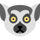 lémur icon