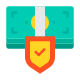 Money Protection icon