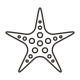 Sea Star icon