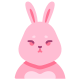 Lapin icon