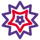 Wolfram Mathematica is a modern technical computing system icon