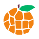 Orange icon