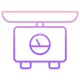 Weighing Scale icon