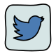 Twitter Squared icon