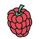 Raspberry icon