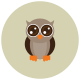 Owl icon