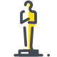 The Oscars icon