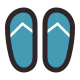 Flip Flops icon