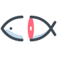 Poisson nettoyé icon