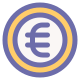 Euro icon