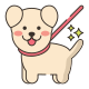 Leash Dog icon