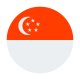 circular-de-singapur icon