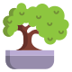 Bonsai icon