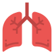 Anatomy icon