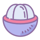 mangostão icon