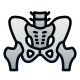 Pelvis icon