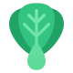 bok choy icon