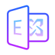MS Exchange icon