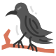Raven icon
