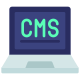 Cms icon