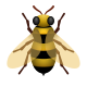 Honeybee icon