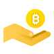 Bitcoin Accepted icon