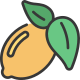 Lemon icon