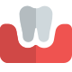 Implanting a new artificial tooth into the gums icon