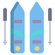 Ski Poles icon