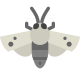 mariposa-falcão icon