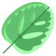 Calathea Leaf icon