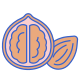 Walnut icon