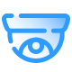 Dome Camera icon